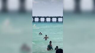 Shark spotted close to swimmers at Florida beach #shorts