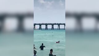 Shark spotted close to swimmers at Florida beach #shorts