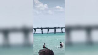 Shark spotted close to swimmers at Florida beach #shorts