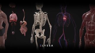 Elyssa X DeSci models: FULL BODY