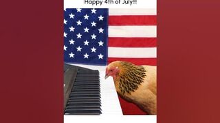 Funny Chicken Plays "Star Spangled Banner" on Piano!