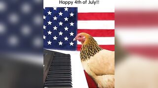 Funny Chicken Plays "Star Spangled Banner" on Piano!