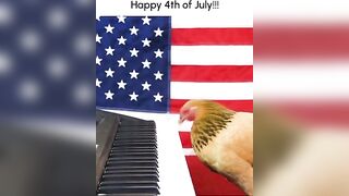 Funny Chicken Plays "Star Spangled Banner" on Piano!