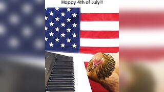 Funny Chicken Plays "Star Spangled Banner" on Piano!