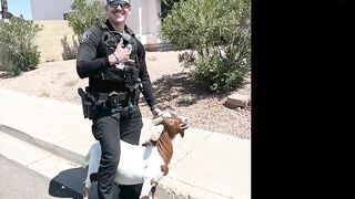 Two police departments shared videos of some pretty funny animal pursuits this week