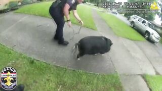 Two police departments shared videos of some pretty funny animal pursuits this week