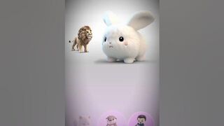 Lion + Bunny = ?? #shorts #short #animash #games