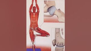 FUERZAS EN ARTICULACIONES MEDICINA CHINA ☯️ YOGA ????️