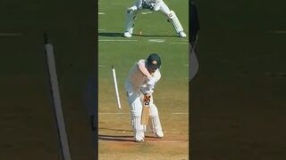 Mohammed Shami rattling the stumps - Compilation