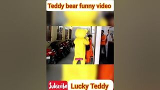 Teddy bear funny video????so funny video???? Lucky Teddy #funny #youtubeshorts #prank #shorts #short #cute