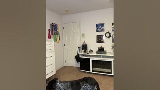 My dog was FROZEN ???? (TikTok): Lizzytharris