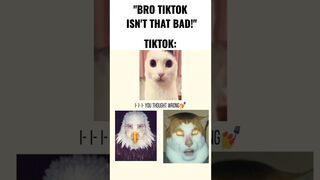 TikTok moment ????