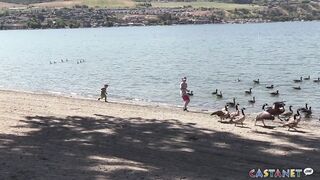 Geese packing the beach