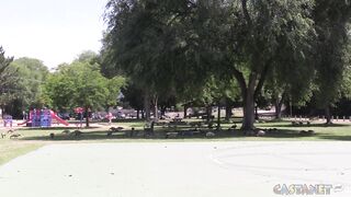 Geese packing the beach