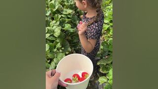 MILA AT THE END ???? #family #travel #sandiego #mustdo #carlsbad #strawberryfarm