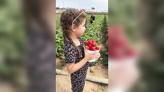 MILA AT THE END ???? #family #travel #sandiego #mustdo #carlsbad #strawberryfarm