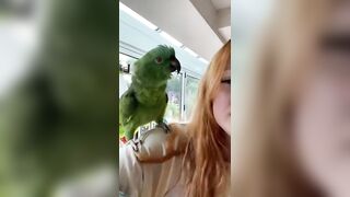 Super Cute And Funny Parrots #21