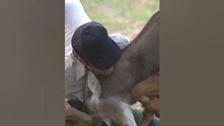 Deer attacks man! ???? #shorts #deer #hunting #funny #outdoors