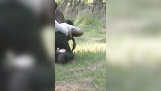 Deer attacks man! ???? #shorts #deer #hunting #funny #outdoors