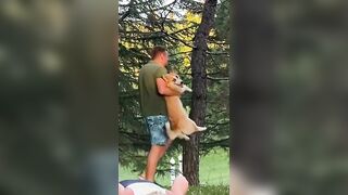 Playful corgi interrupts ladies' yoga session