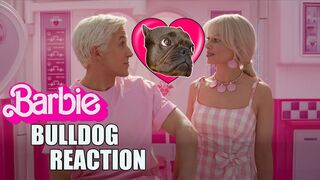 Barbie | Cute Bulldog reaction to the trailer ????
