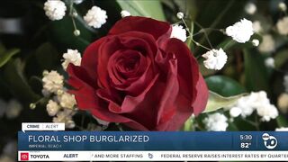 Caught on video: Imperial Beach flower shop burglarized