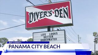 30-foot whale shark spotted in Panama City Beach