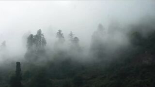 Himachal | Cinematic Travel Film | Sony A7iii