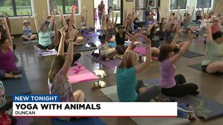 Yoga with animals in Duncan