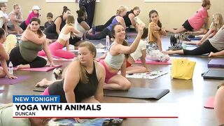 Yoga with animals in Duncan