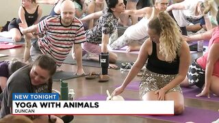 Yoga with animals in Duncan