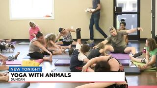 Yoga with animals in Duncan