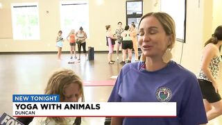 Yoga with animals in Duncan