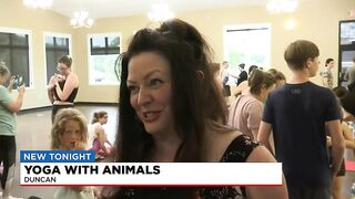 Yoga with animals in Duncan