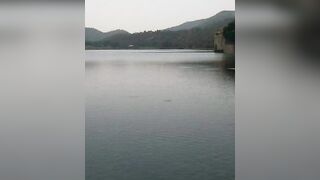 Jal Mahal ❤️ #jaipur #tourism #travel #viral #trending #youtube #fort #shorts