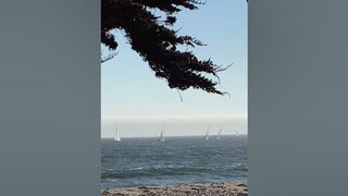 Sailboats in the ROAD????At the beach, Santa Cruz, California