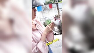 funny and cute cat videos compilation 2023 #short