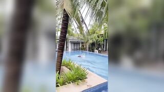 ចង់បានboy10អ្នកពាក់Bikinis