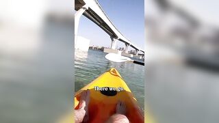 Kayaking in Palm Jumeirah Dubai, UAE ????????