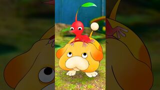 The Funny Face (Pikmin Animation)