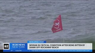 Woman in critical condition after being bitten by shark off Rockaway Beach