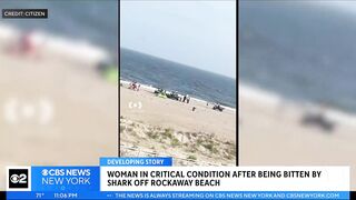 Woman in critical condition after being bitten by shark off Rockaway Beach