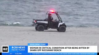 Woman in critical condition after being bitten by shark off Rockaway Beach