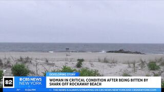 Woman in critical condition after being bitten by shark off Rockaway Beach