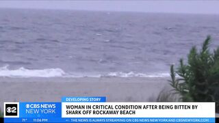 Woman in critical condition after being bitten by shark off Rockaway Beach