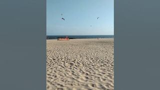 View of the ocean and birds flying over the sand of the beach under the blue sky