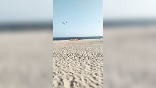 View of the ocean and birds flying over the sand of the beach under the blue sky