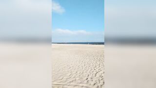 View of the ocean and birds flying over the sand of the beach under the blue sky