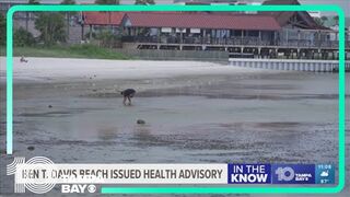 Health advisory issued for Ben T. Davis Beach over fecal pollution