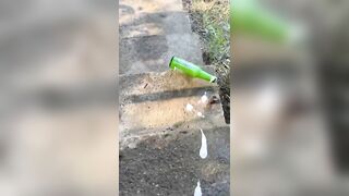 Festival of bottles????????????????»#asmr#viral#shorts#nice#like#tiktokvideo#breaking#bottle#instagram#good